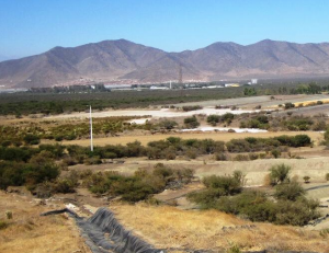 Captura de Pantalla 2022-06-16 a la(s) 12.09.44